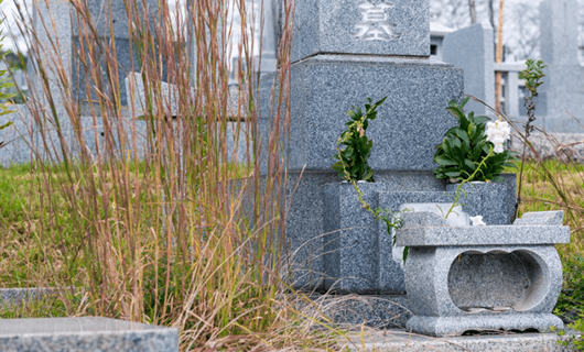 手入れしていないお墓でも大丈夫　荒れた現場も対応