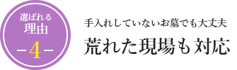 手入れしていないお墓でも大丈夫　荒れた現場も対応